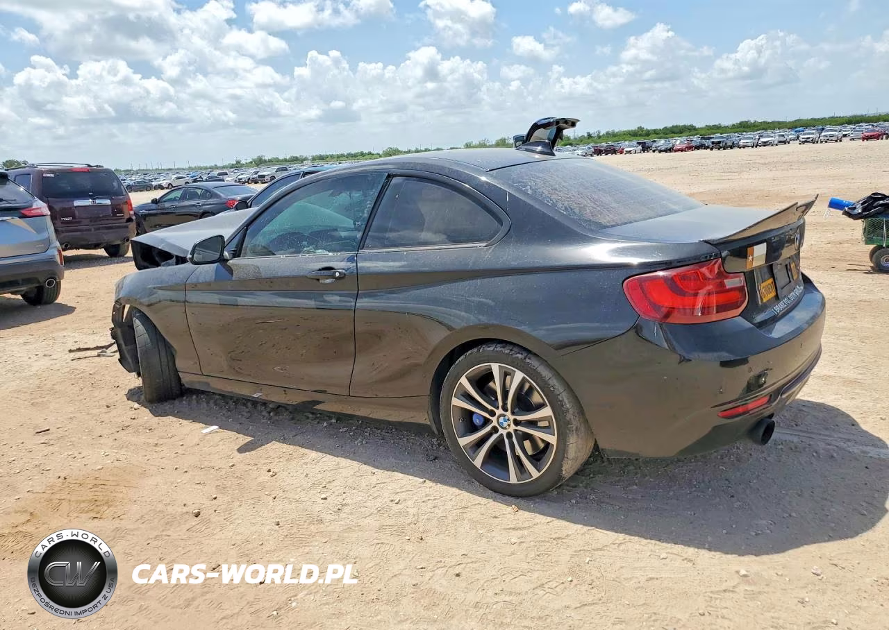 2016 BMW 228 I Sulev VIN:WBA1F9C58GV545873 - 2