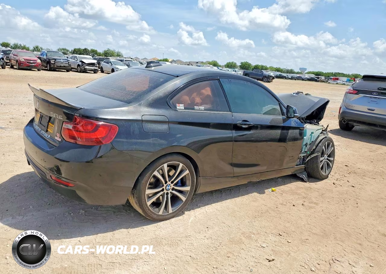 2016 BMW 228 I Sulev VIN:WBA1F9C58GV545873 - 3