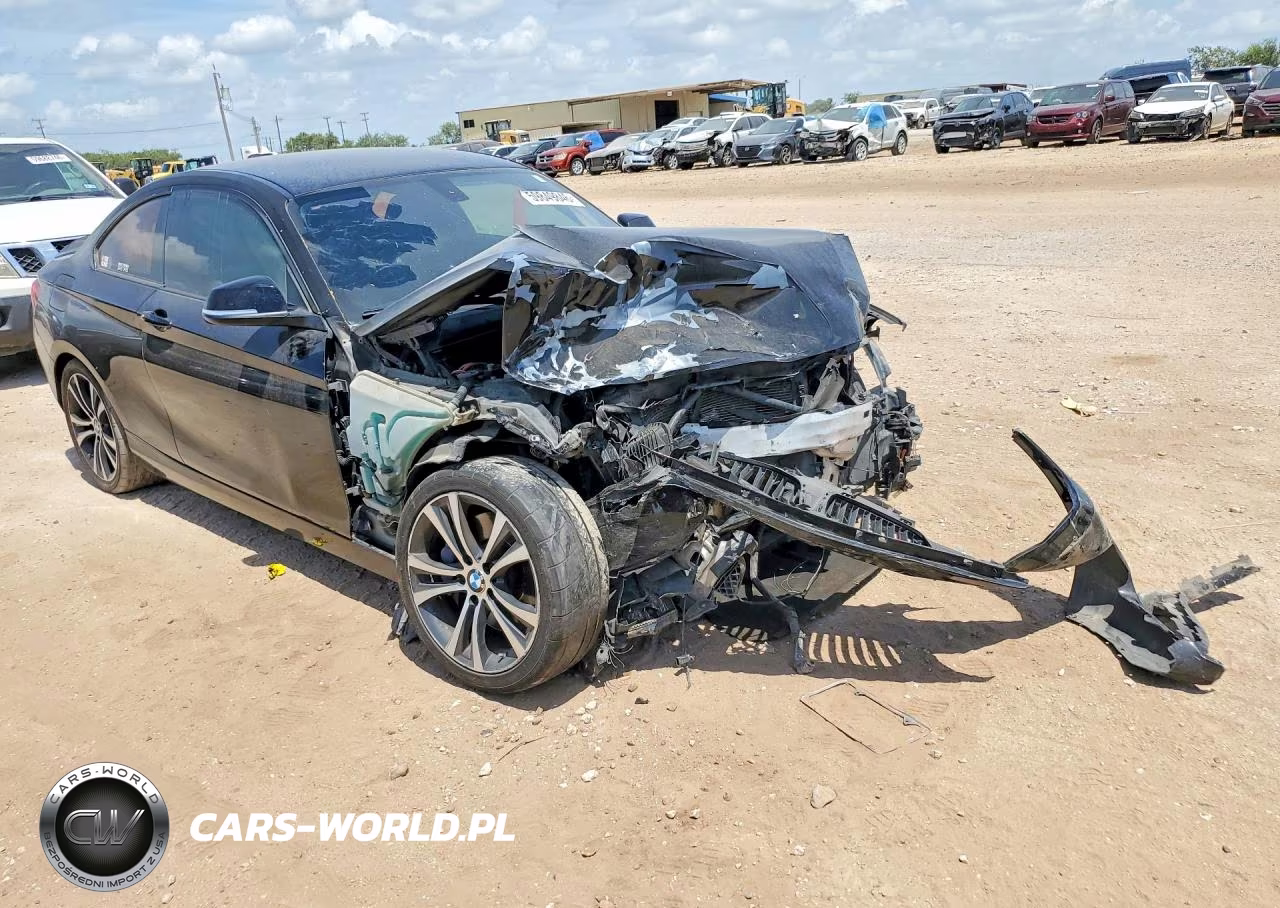 2016 BMW 228 I Sulev VIN:WBA1F9C58GV545873 - 4