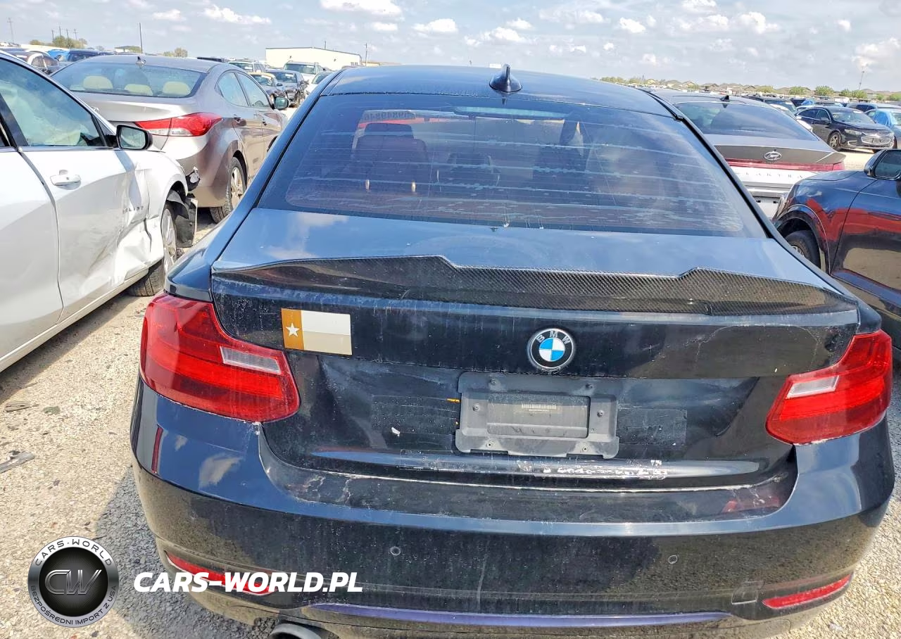 2016 BMW 228 I Sulev VIN:WBA1F9C58GV545873 - 6