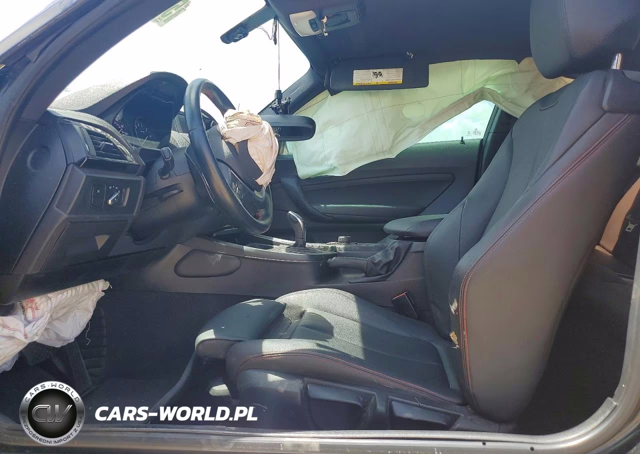 2016 BMW 228 I Sulev VIN:WBA1F9C58GV545873 - 7