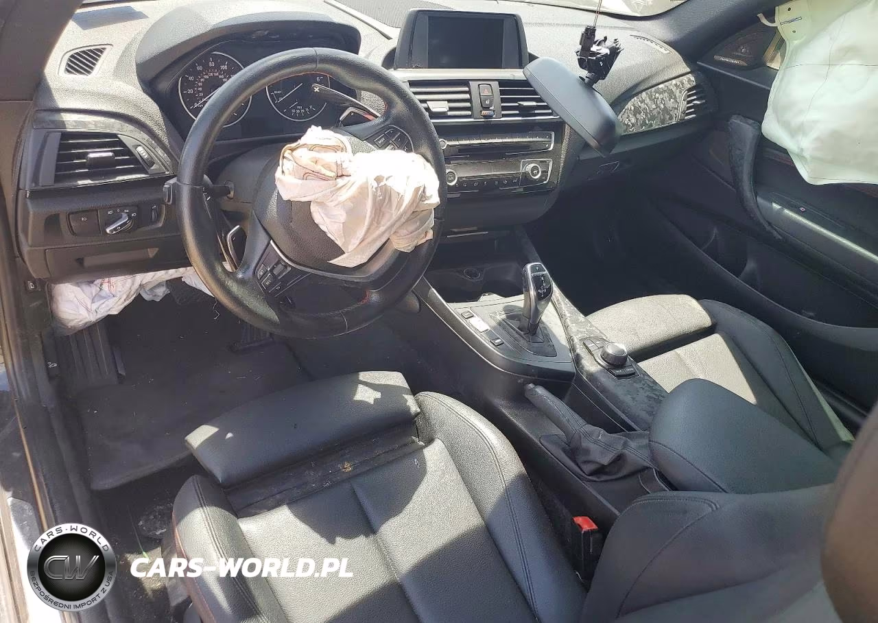 2016 BMW 228 I Sulev VIN:WBA1F9C58GV545873 - 8