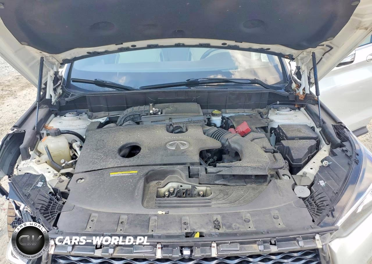 2019 Infiniti Qx50 Essential VIN:3PCAJ5M16KF106426 - 11