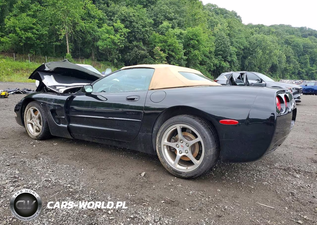 2002 Chevrolet Corvette VIN:1G1YY32G125111761 - 2