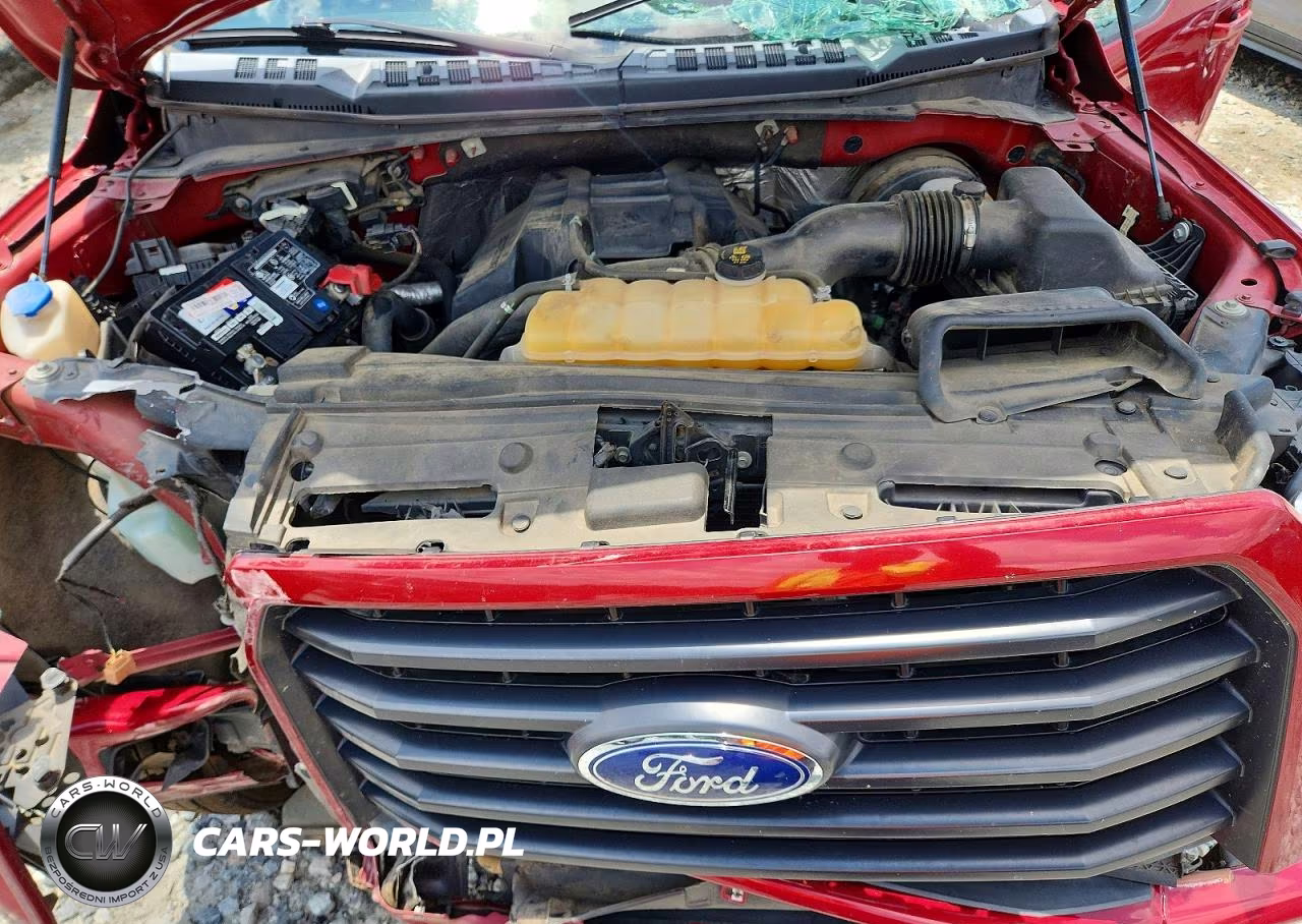 2016 Ford F150 Supercrew VIN:1FTEW1CP3GFD48806 - 11