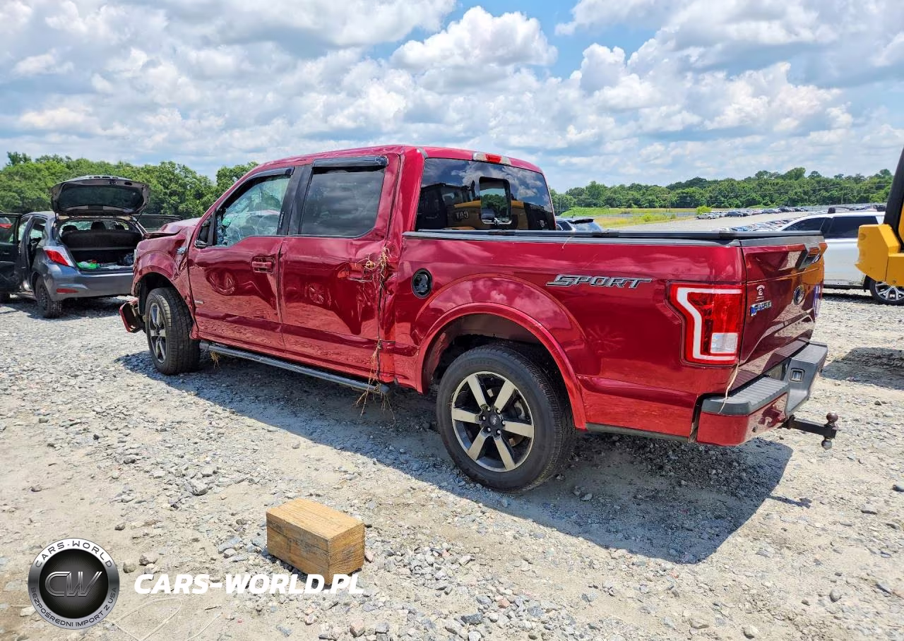 2016 Ford F150 Supercrew VIN:1FTEW1CP3GFD48806 - 2