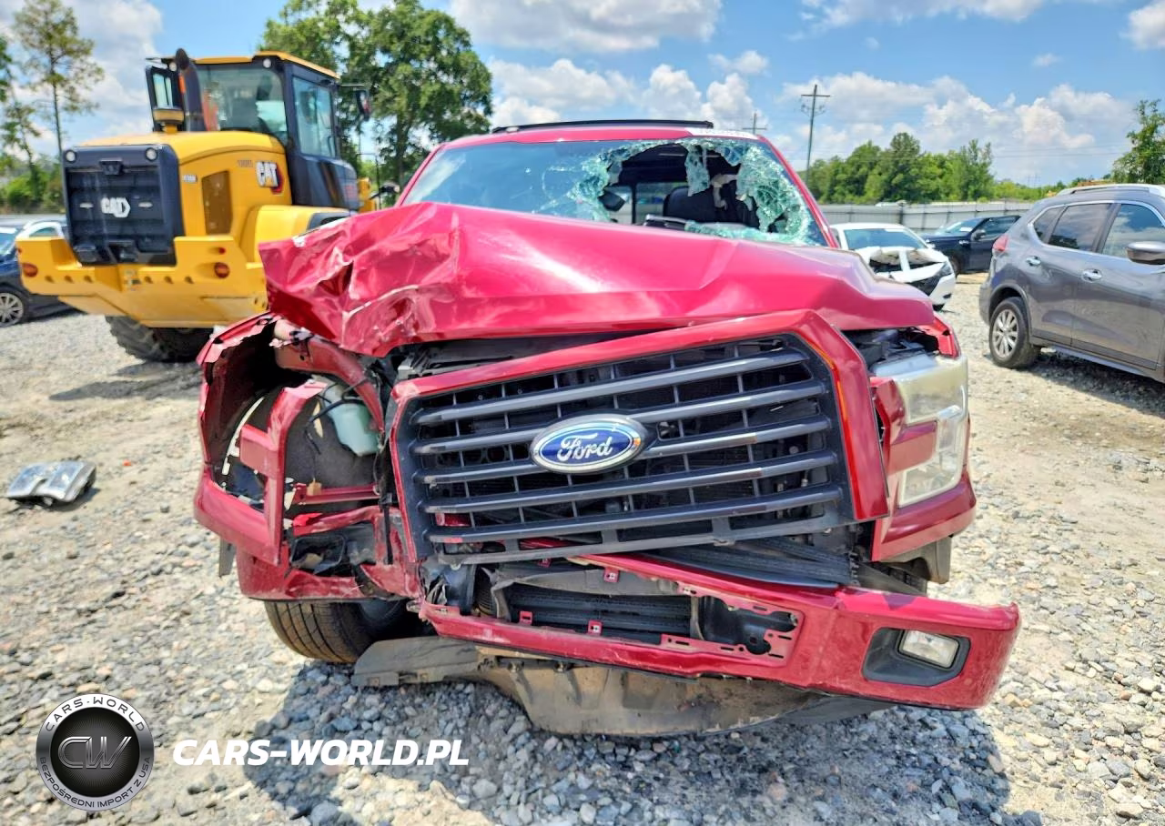 2016 Ford F150 Supercrew VIN:1FTEW1CP3GFD48806 - 5