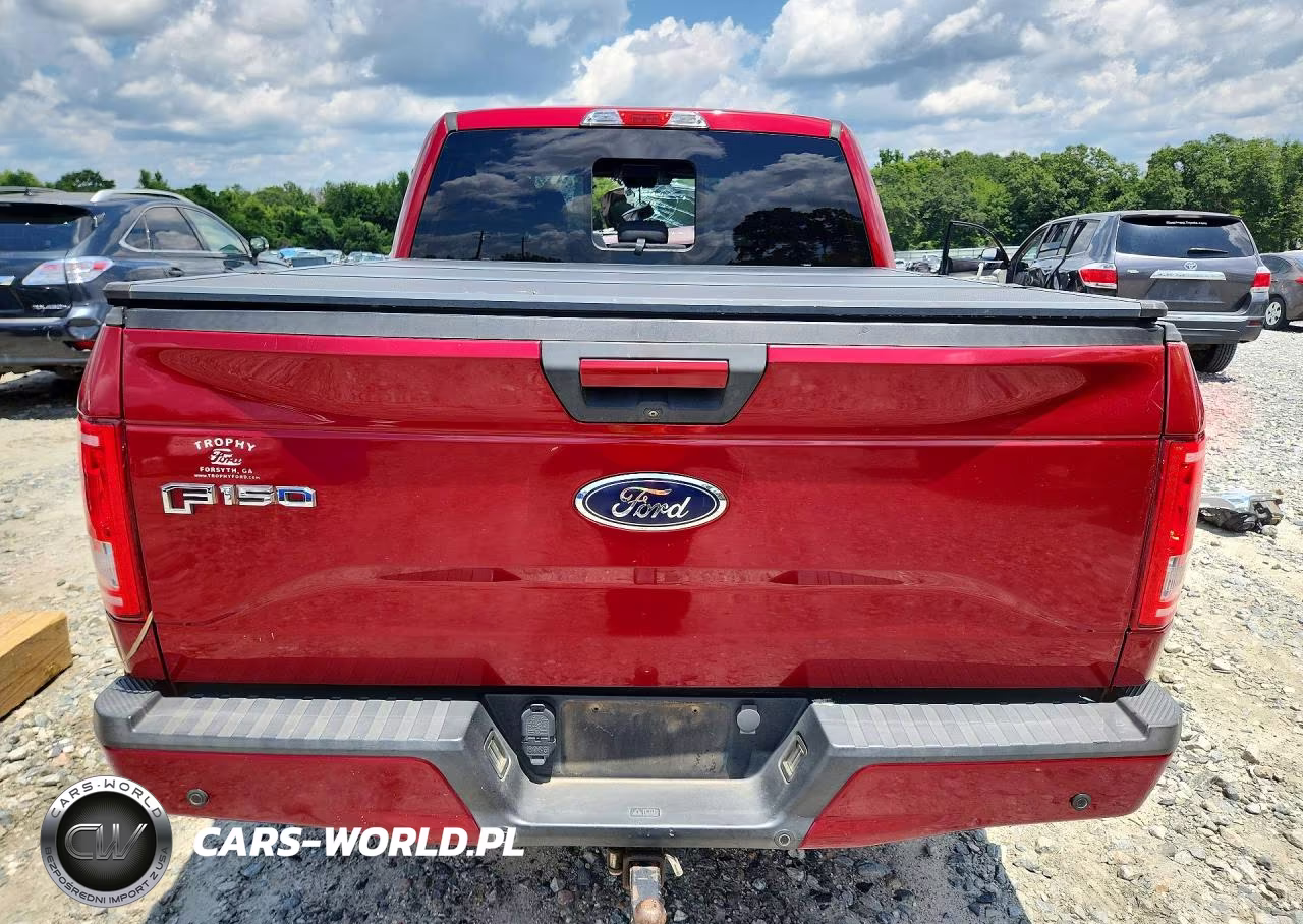 2016 Ford F150 Supercrew VIN:1FTEW1CP3GFD48806 - 6