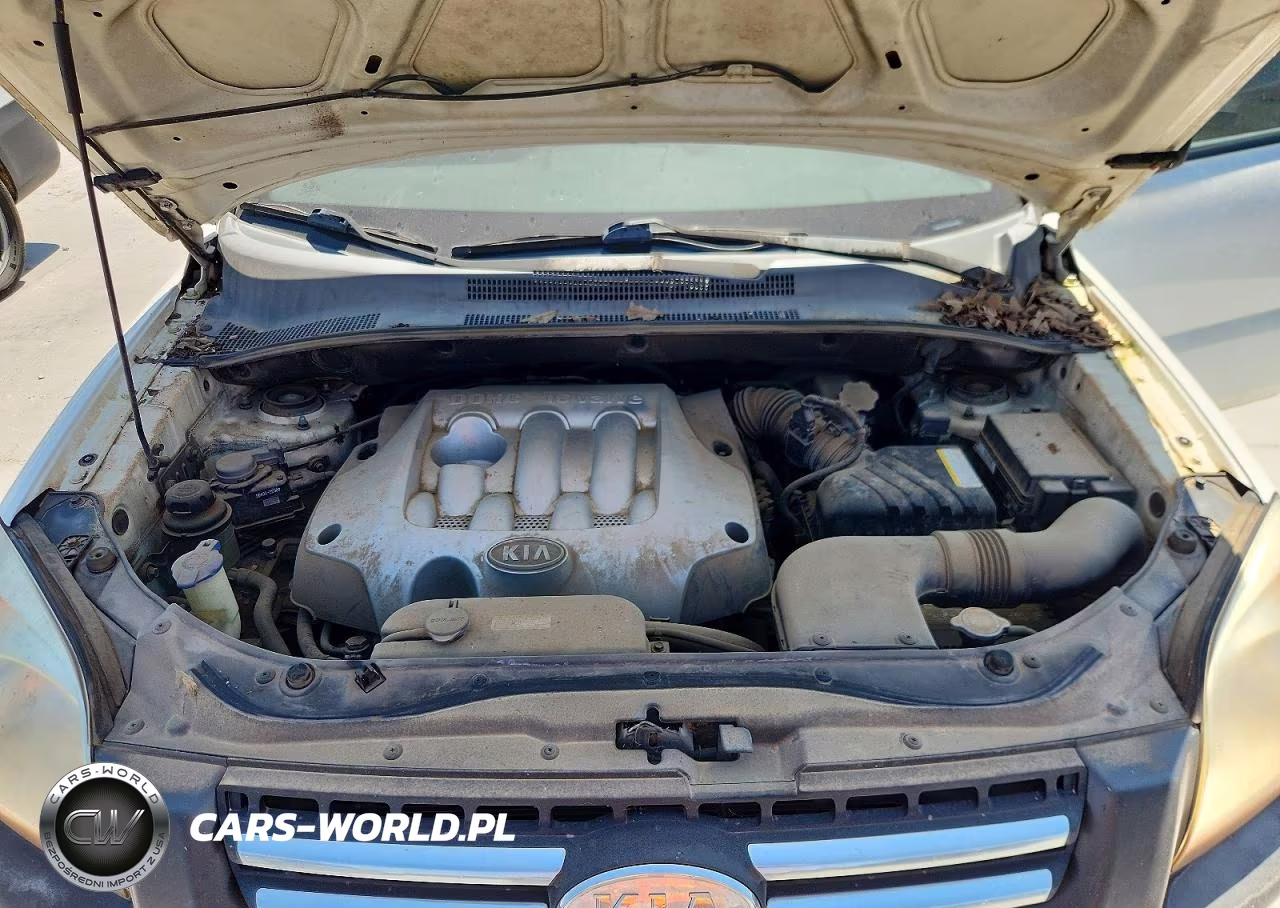 2006 Kia Sportage Lx VIN:KNDJF724667198241 - 12