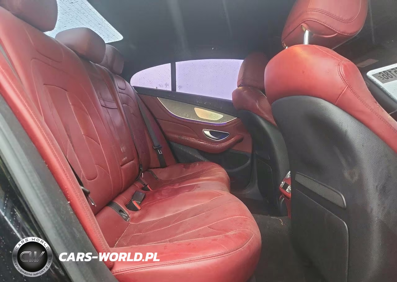 2019 Mercedes-Benz Cls Amg 53 4Matic VIN:WDD2J6BB9KA029457 - 10