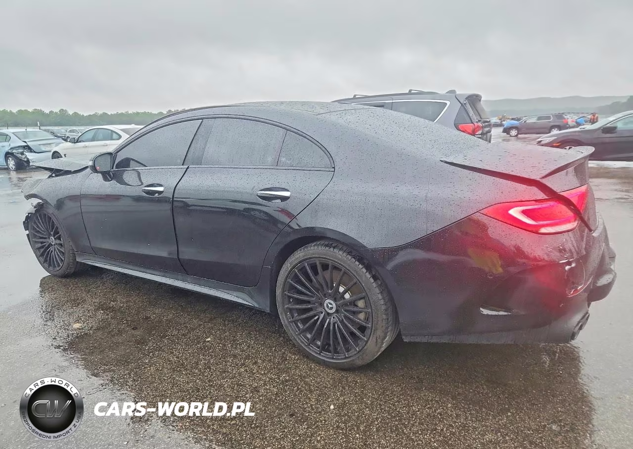 2019 Mercedes-Benz Cls Amg 53 4Matic VIN:WDD2J6BB9KA029457 - 2