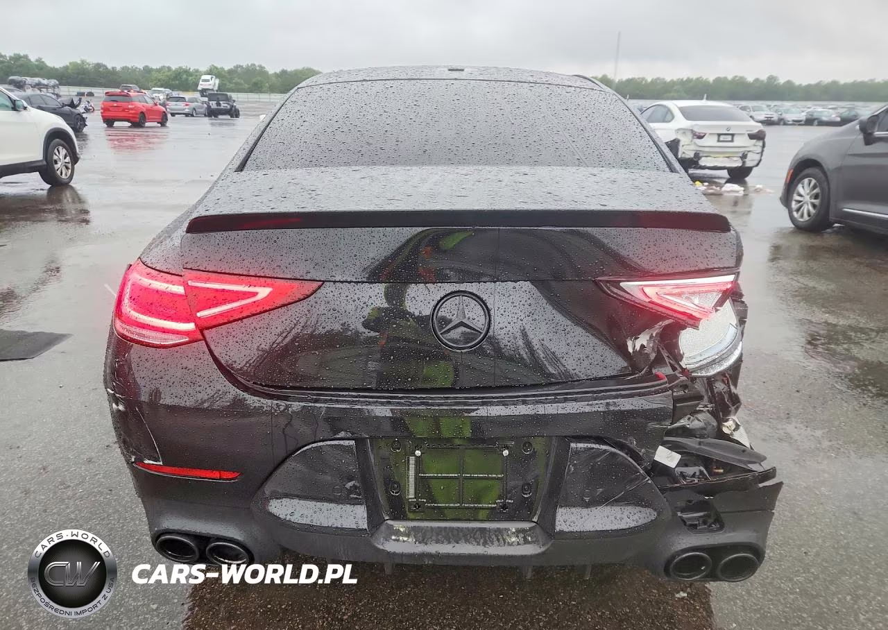 2019 Mercedes-Benz Cls Amg 53 4Matic VIN:WDD2J6BB9KA029457 - 6