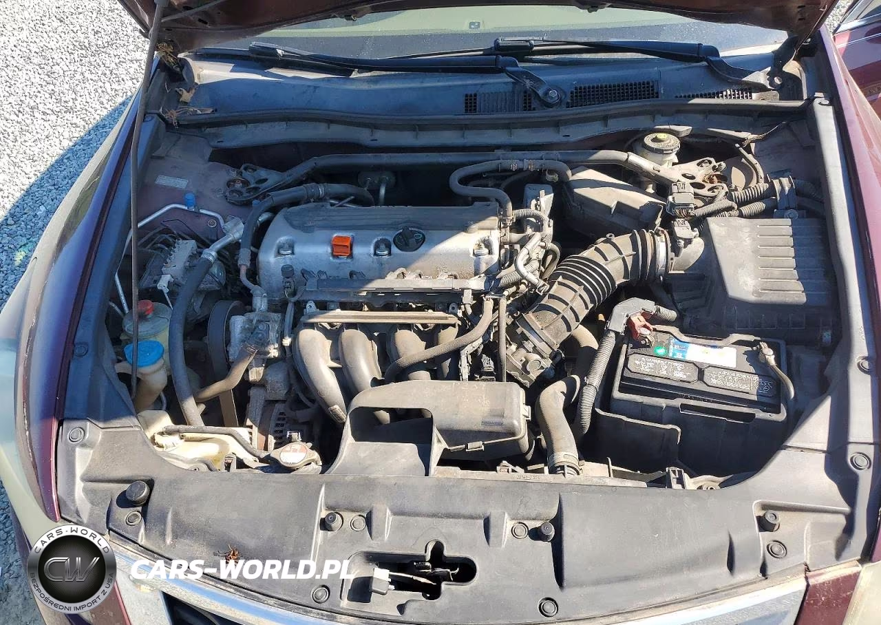 2010 Honda Accord Exl VIN:1HGCP2F85AA165878 - 11