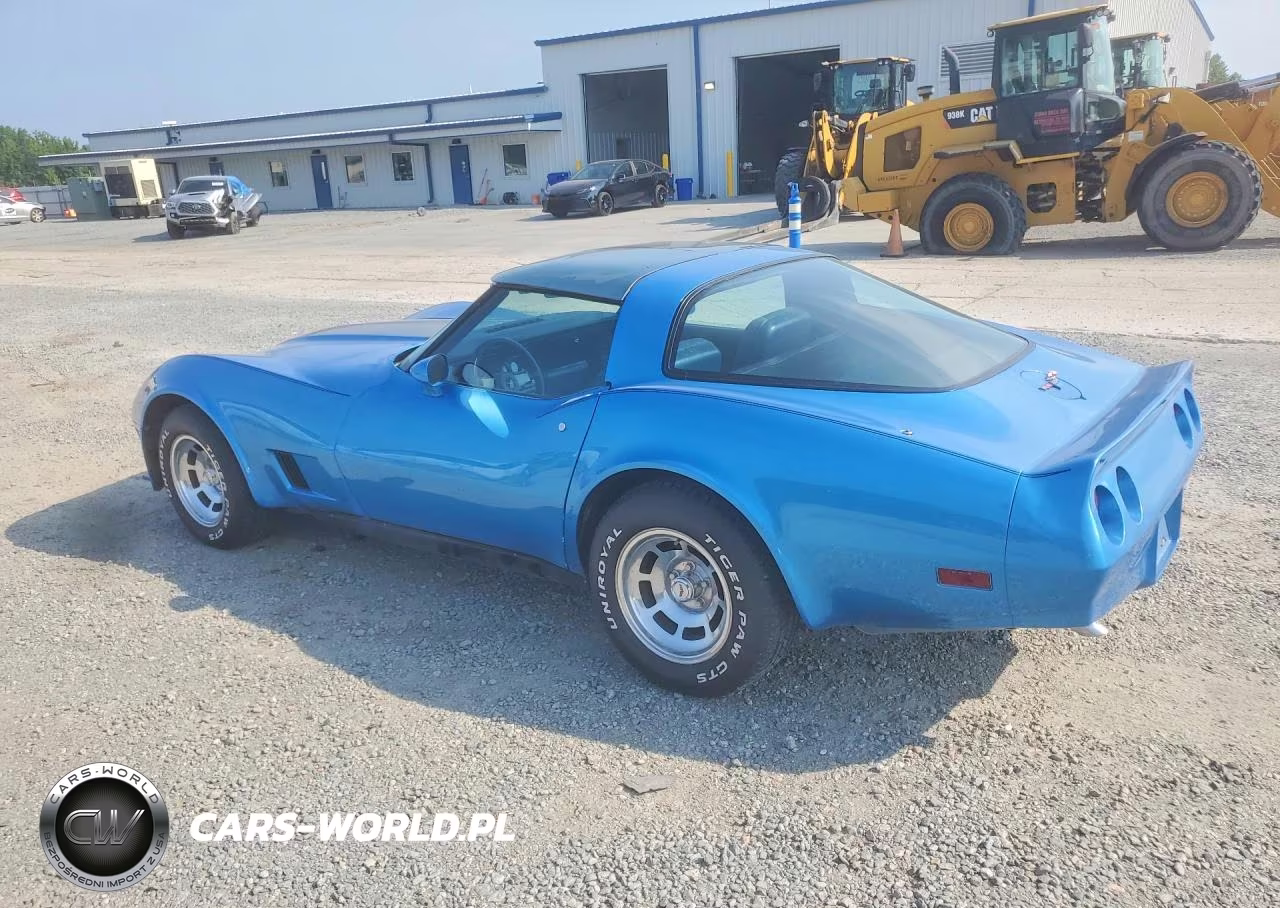 1981 Chevrolet Corvette VIN:FLA1B103864CH - 2