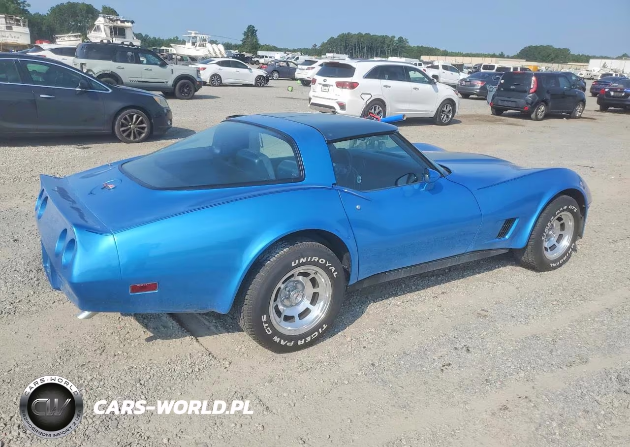 1981 Chevrolet Corvette VIN:FLA1B103864CH - 3