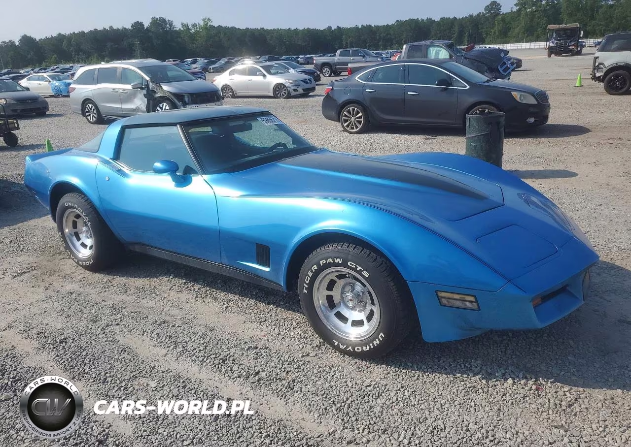 1981 Chevrolet Corvette VIN:FLA1B103864CH - 4