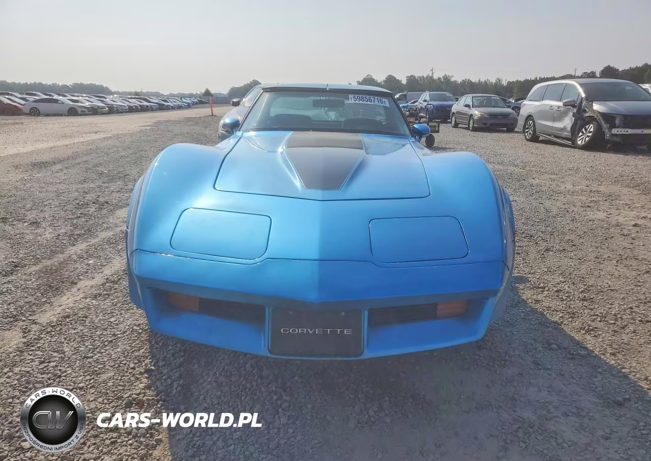 1981 Chevrolet Corvette VIN:FLA1B103864CH - 5