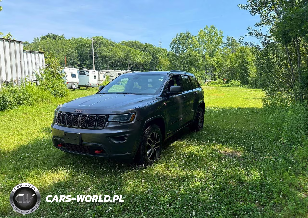 2018 Jeep Grand Cherokee Trailhawk VIN:1C4RJFLGXJC300287 - 2