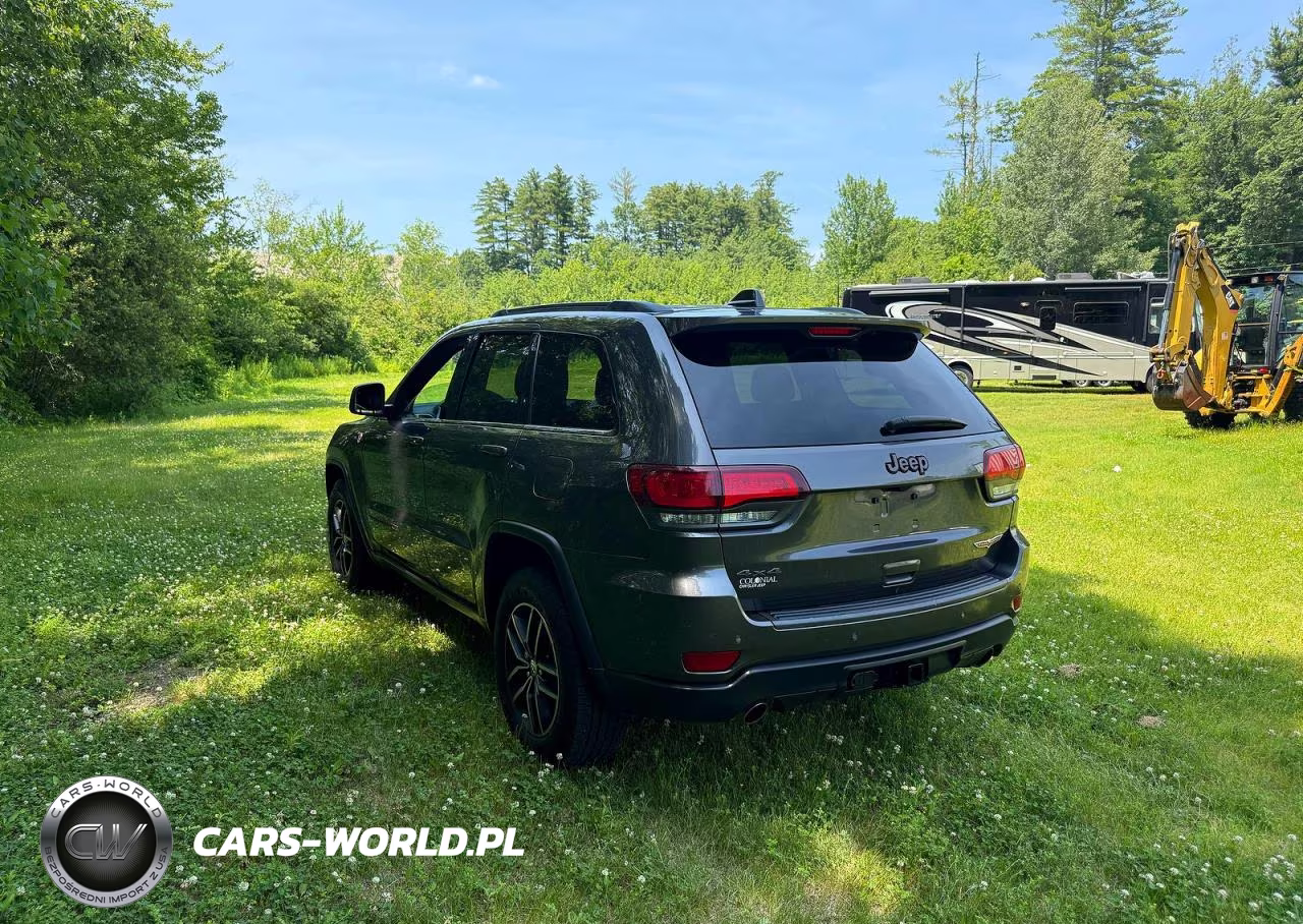 2018 Jeep Grand Cherokee Trailhawk VIN:1C4RJFLGXJC300287 - 3