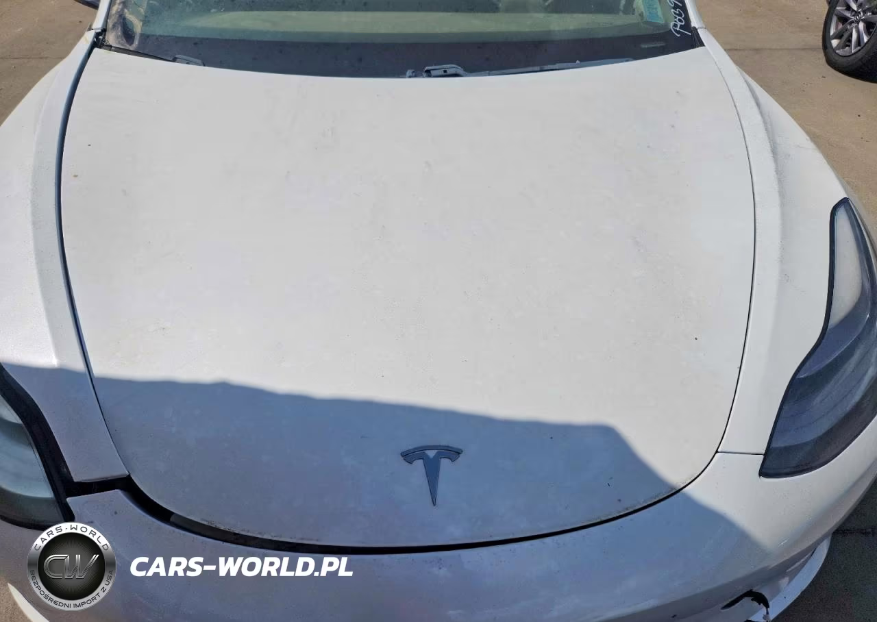 2021 Tesla Model 3 VIN:5YJ3E1EA1MF996096 - 11