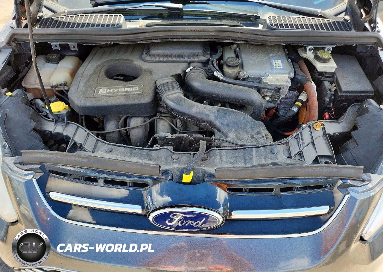 2015 Ford C-Max Sel VIN:1FADP5BU3FL110032 - 11