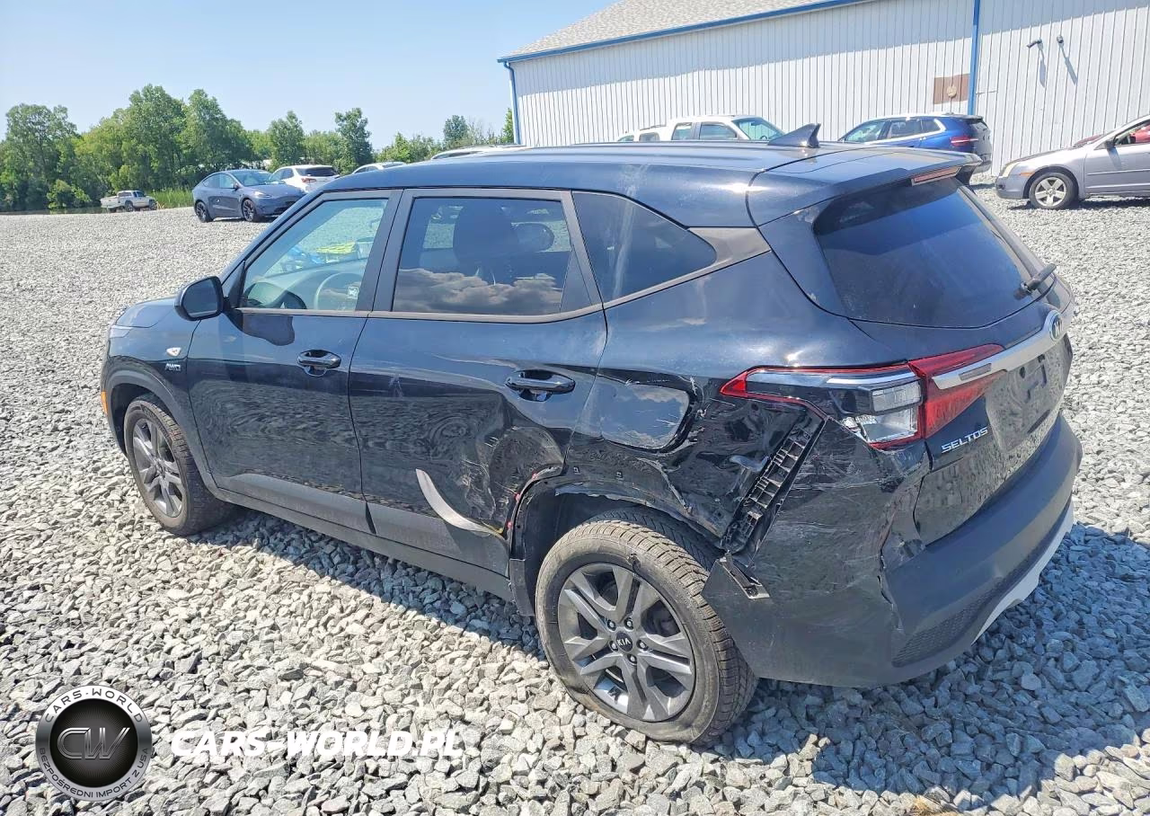 2021 Kia Seltos VIN:KNDEPCAA2M7194800 - 2