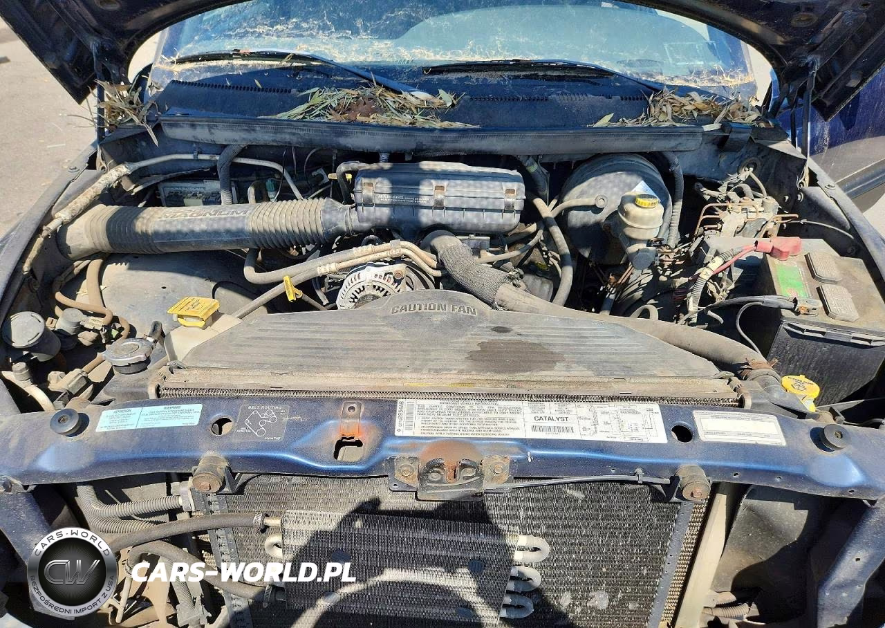 2001 Dodge Ram 1500 VIN:1B7HC16Y81S111866 - 11