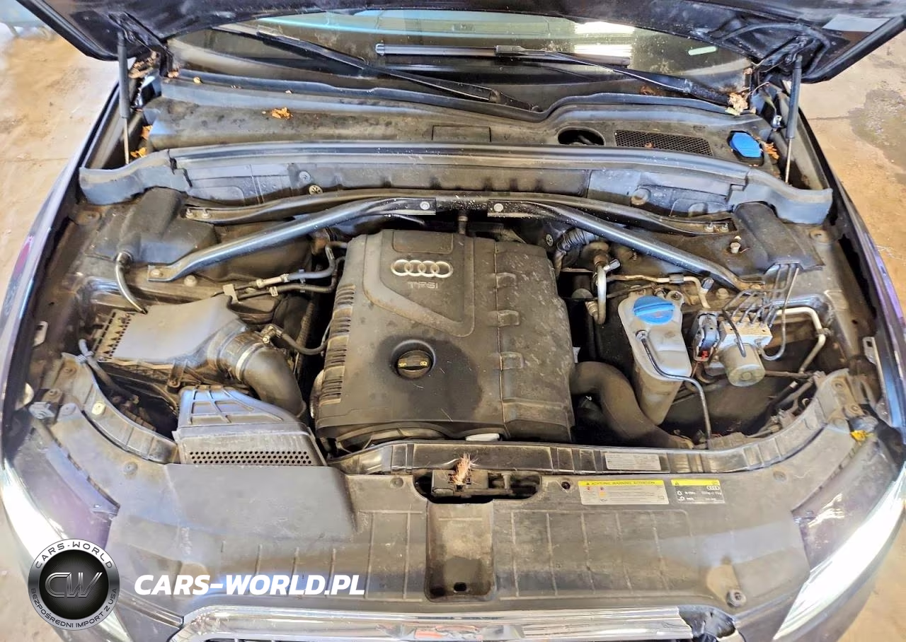 2014 Audi Q5 Premium Plus VIN:WA1LFAFP3EA119419 - 12
