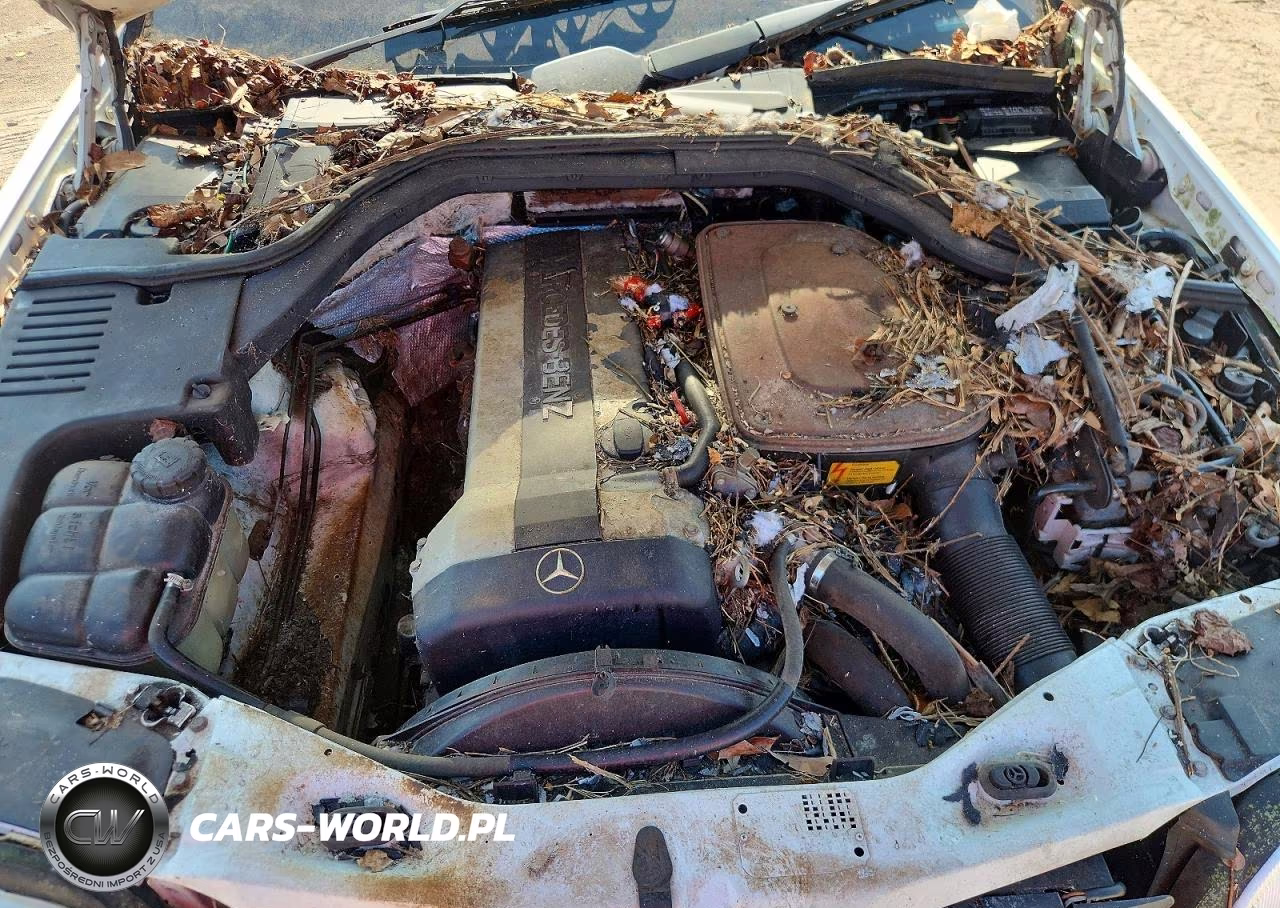 1992 Mercedes-Benz 300 Se VIN:WDBGA32E0NA020836 - 11
