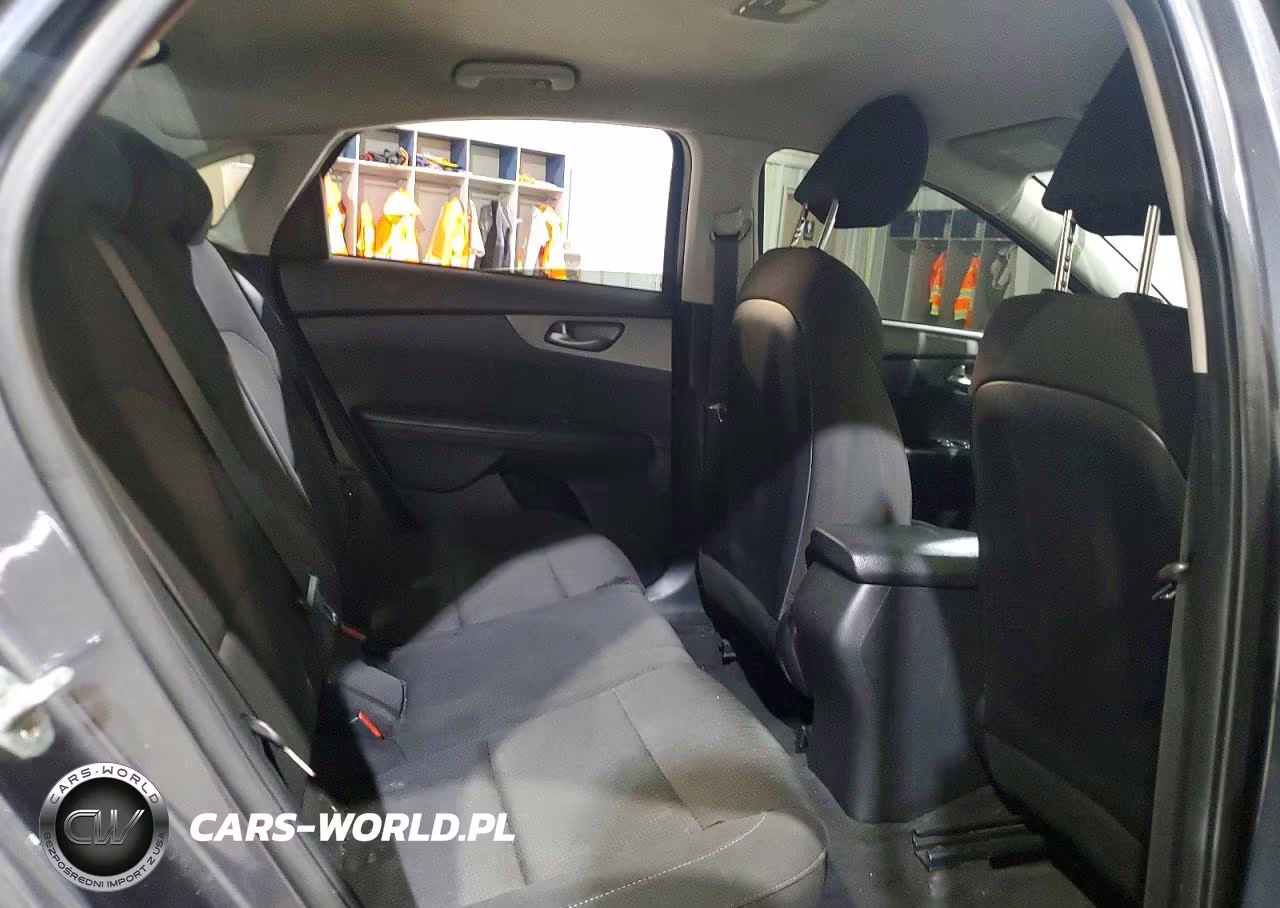 2019 Kia Forte Lxs VIN:3KPF24AD3KE125050 - 10