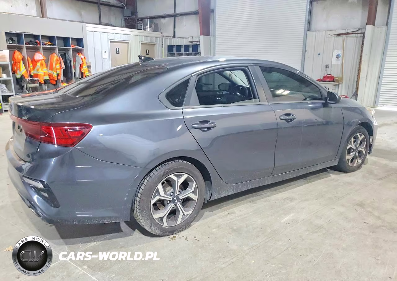 2019 Kia Forte Lxs VIN:3KPF24AD3KE125050 - 3