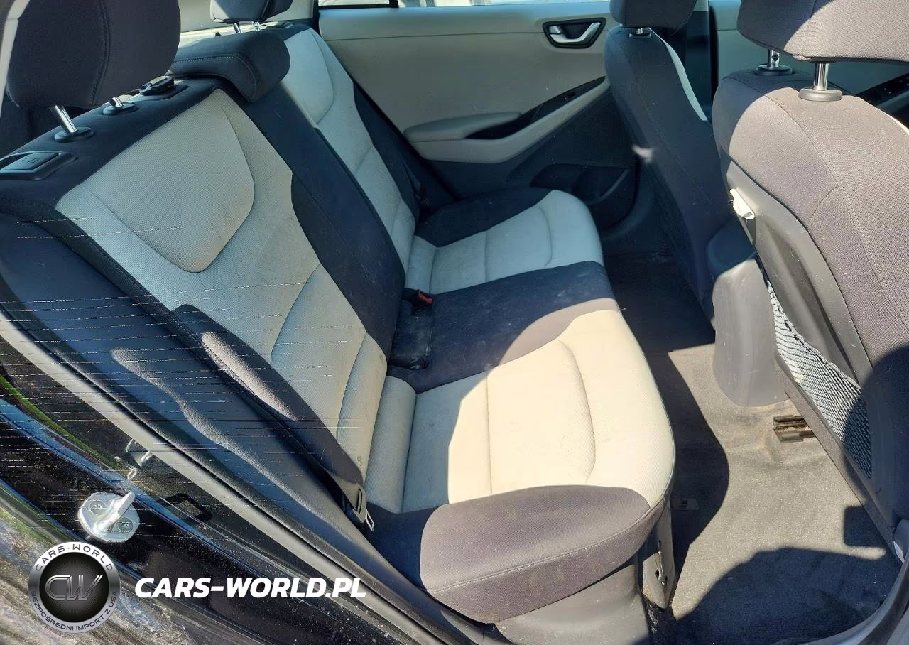 2017 Hyundai Ioniq Blue VIN:KMHC65LC8HU038817 - 10