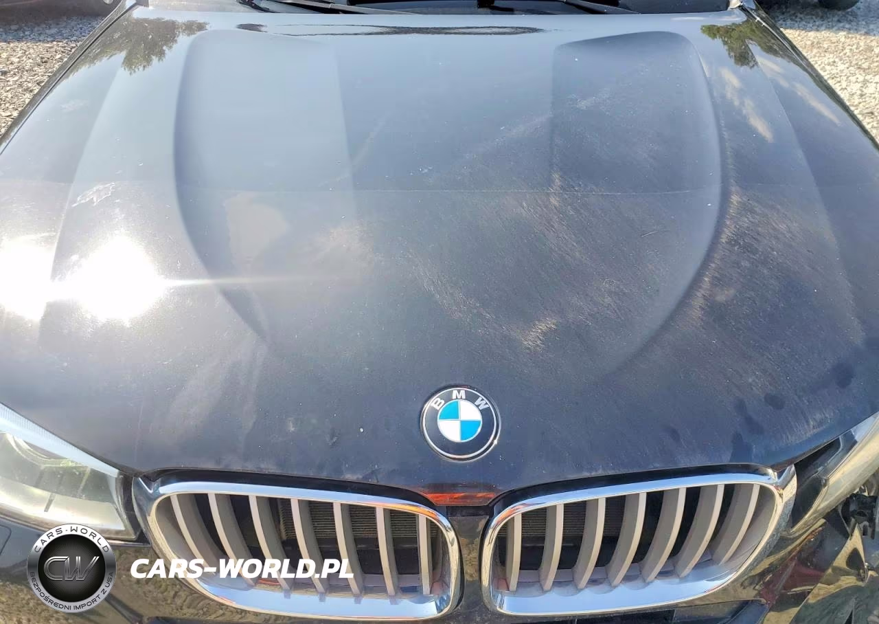 2016 BMW X4 xDrive28I VIN:5UXXW3C57G0R19041 - 12
