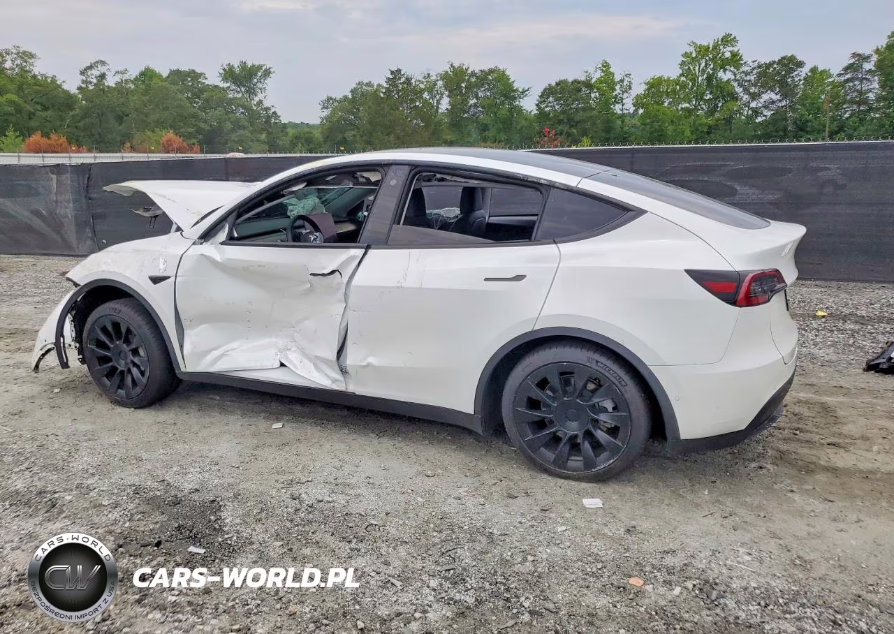 2022 Tesla Model Y VIN:7SAYGDEEXNF318925 - 2