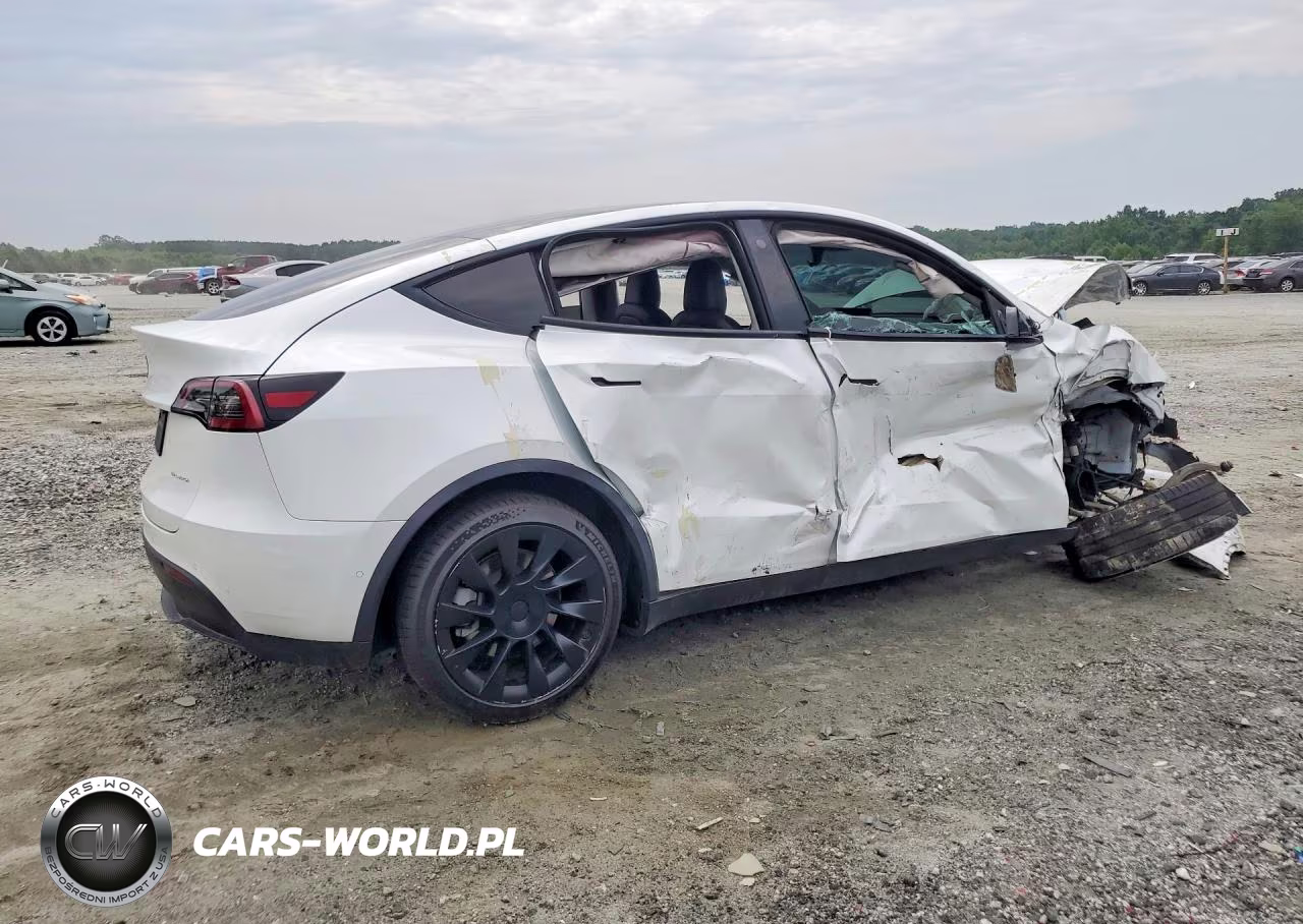 2022 Tesla Model Y VIN:7SAYGDEEXNF318925 - 3