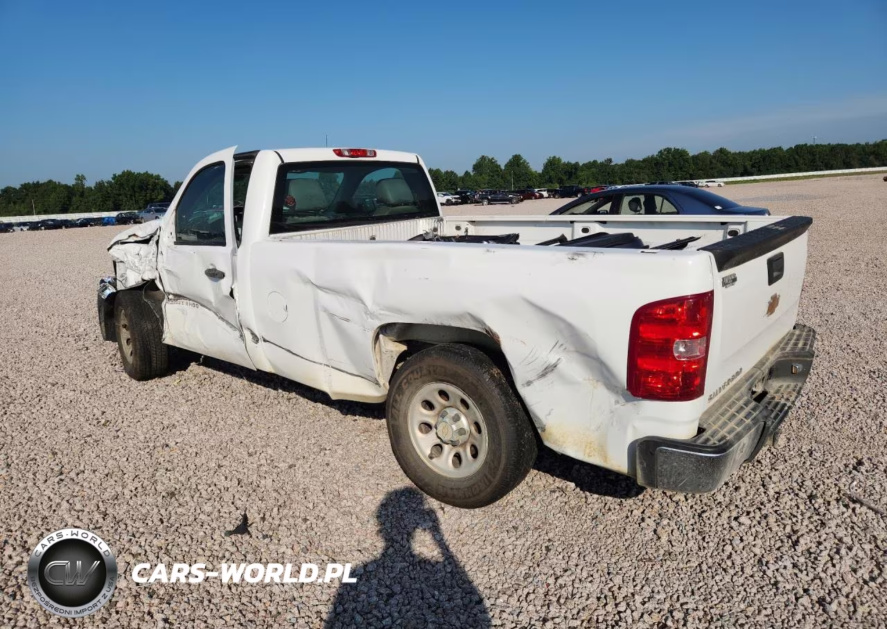2013 Chevrolet Silverado C1500 VIN:1GCNCPEX3DZ106343 - 2