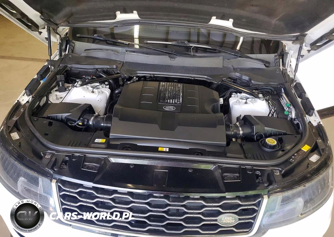 2019 Land Rover Range Rover Sport Hse VIN:SALWR2RV1KA815890 - 12