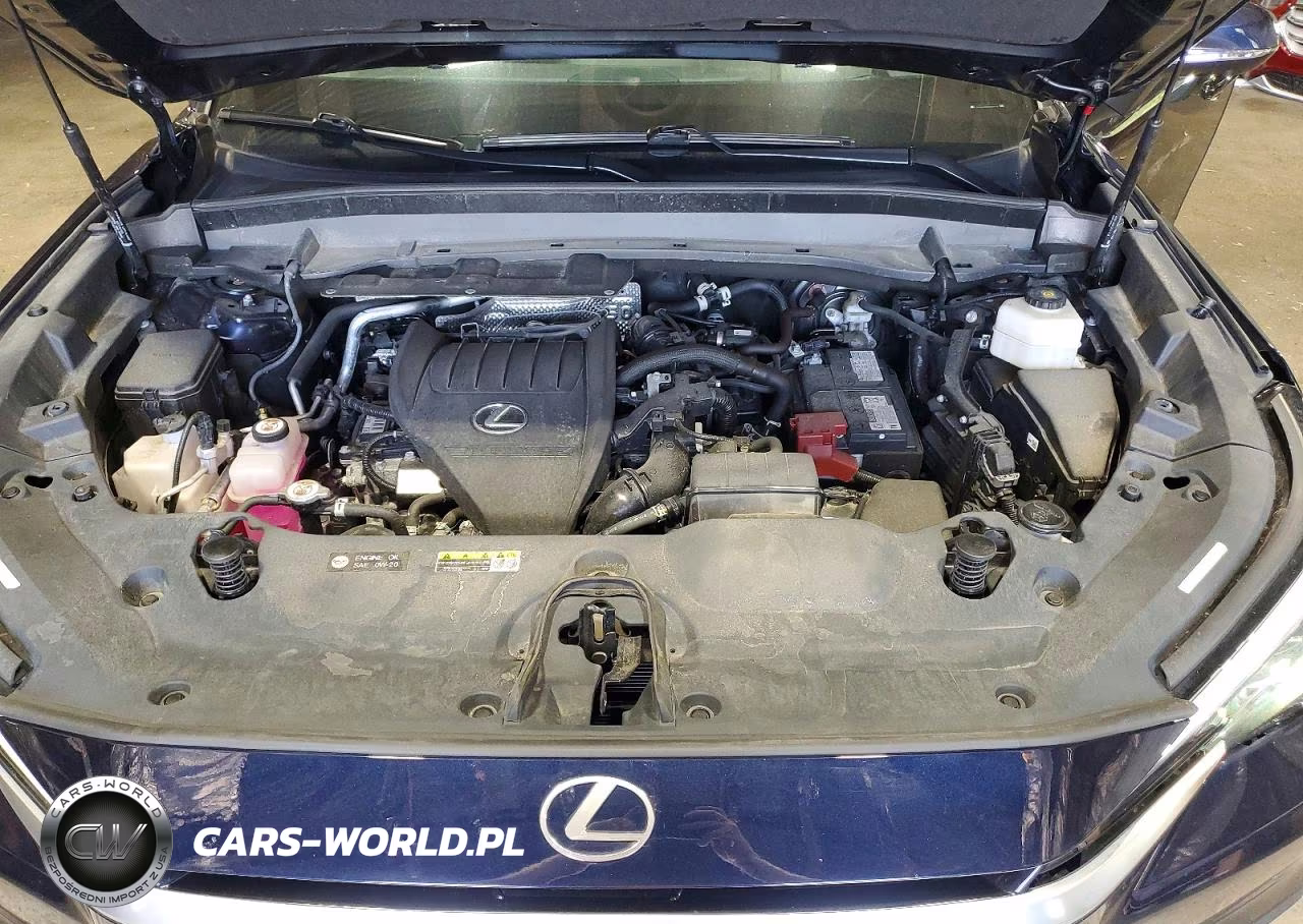2024 Lexus Tx 350 Luxury VIN:5TDAAAB68RS016434 - 12