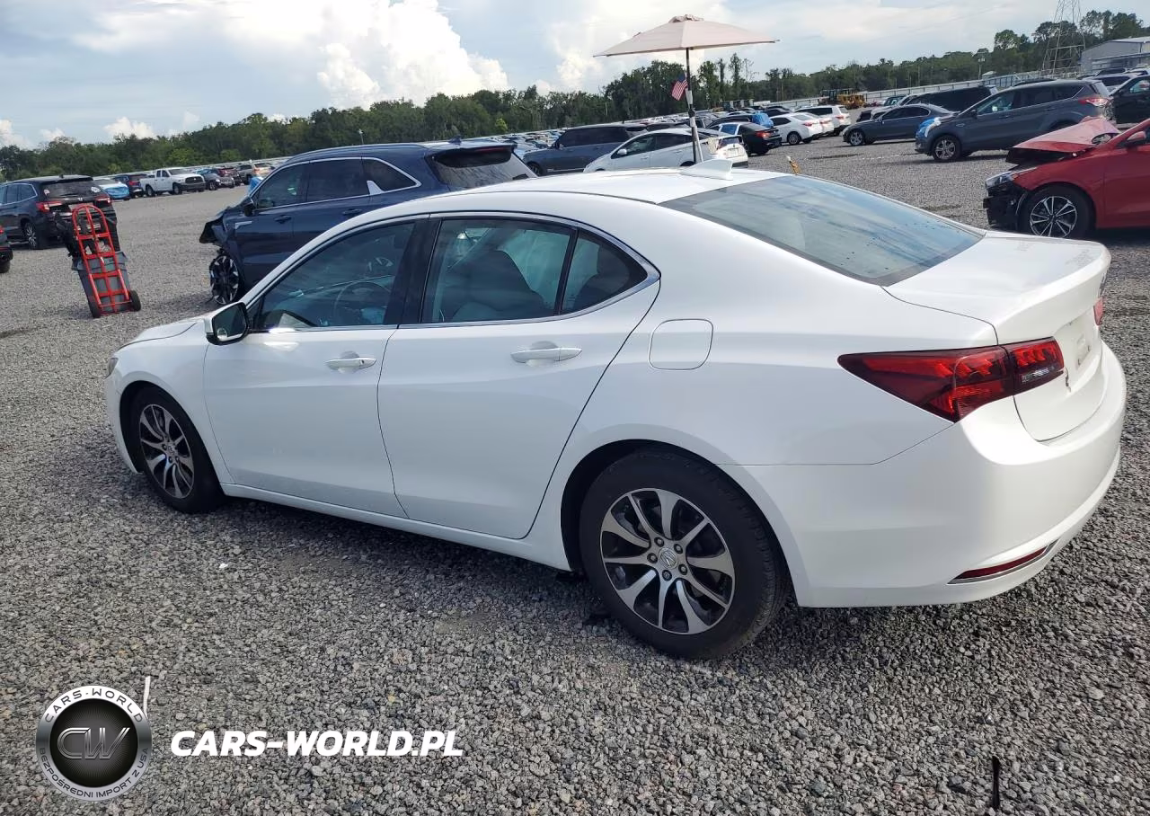2016 Acura Tlx VIN:19UUB1F3XGA006669 - 2