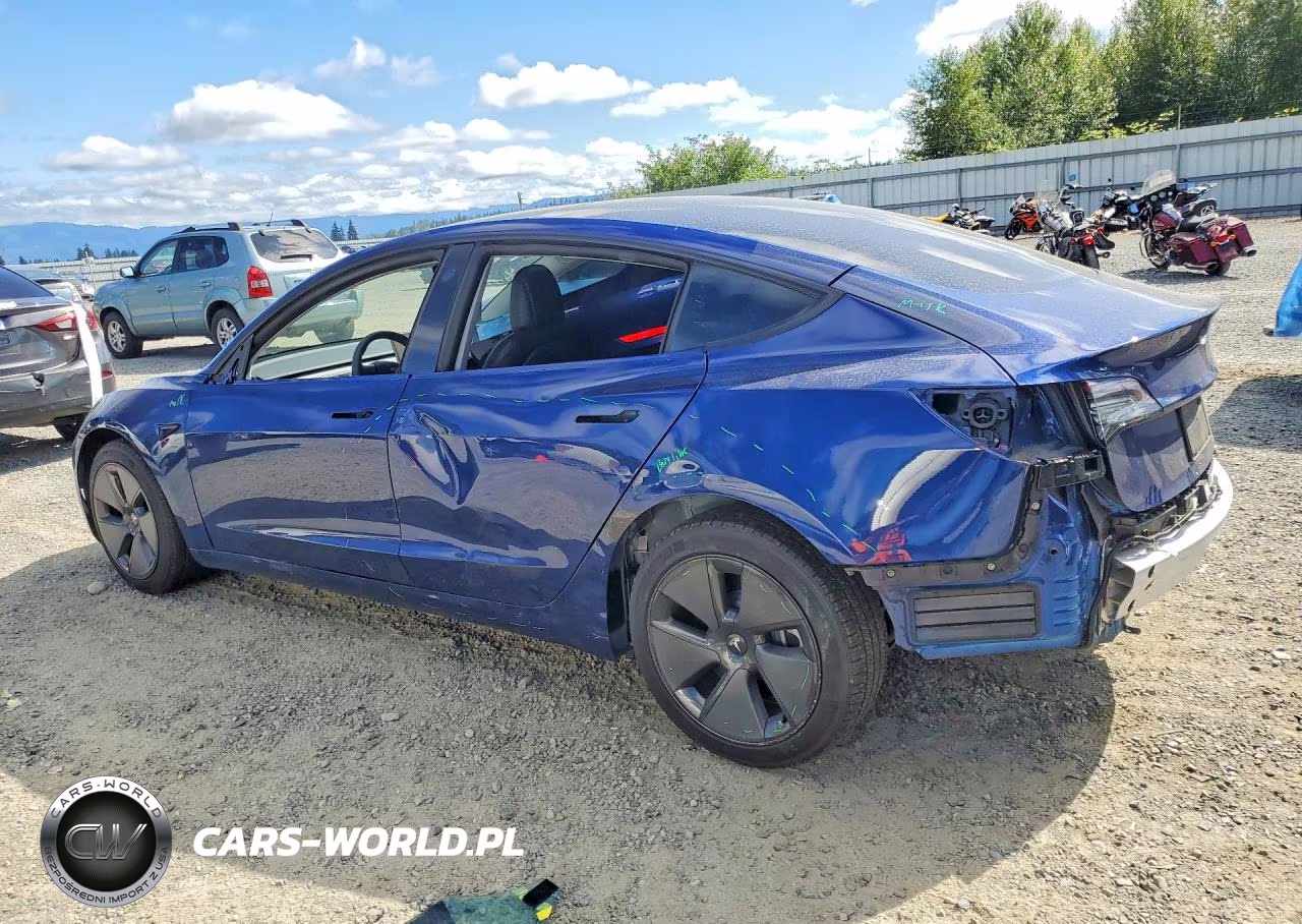 2022 Tesla Model 3 VIN:5YJ3E1EB9NF206036 - 2