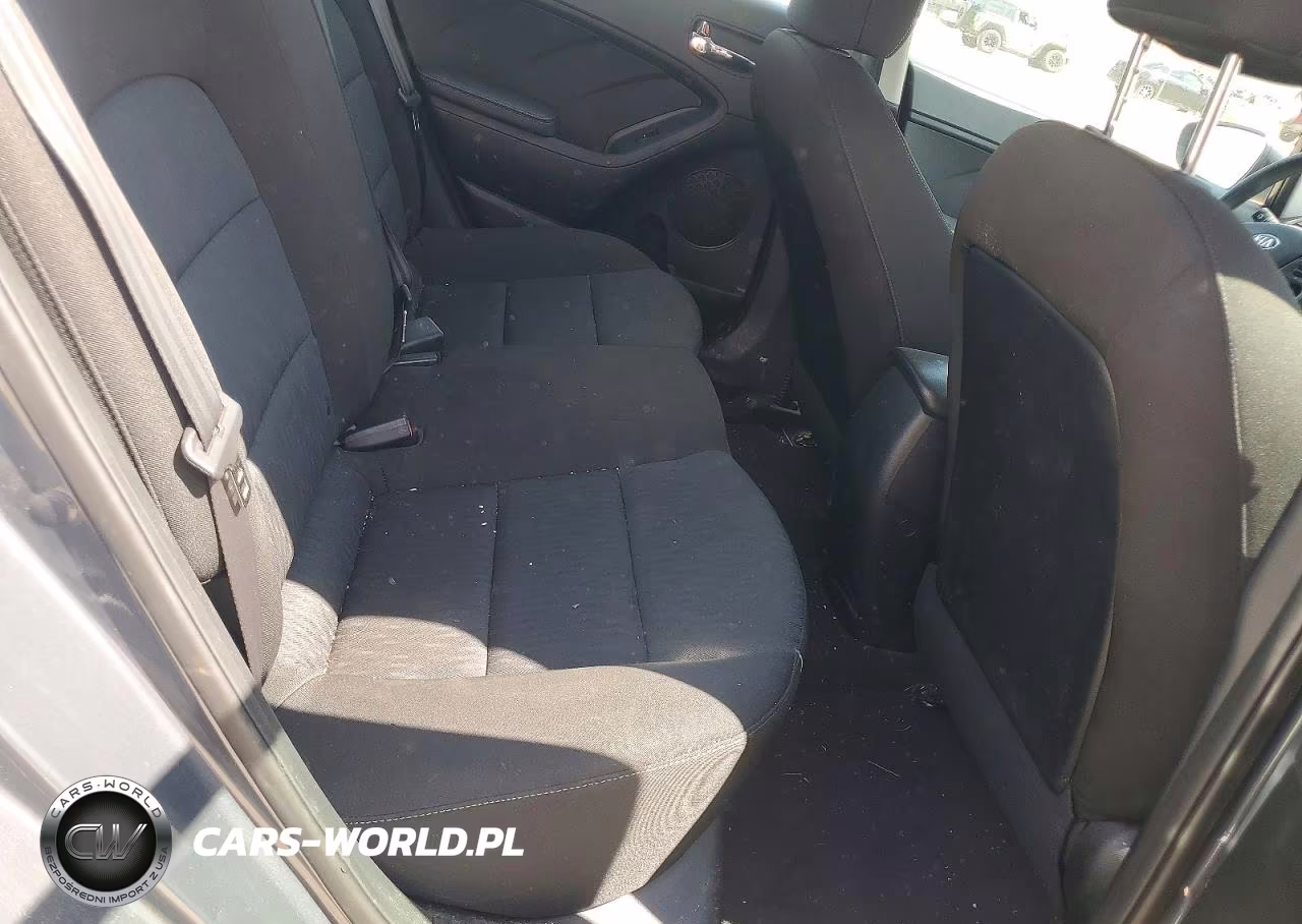 2016 Kia Forte Lx VIN:KNAFK4A6XG5576462 - 10