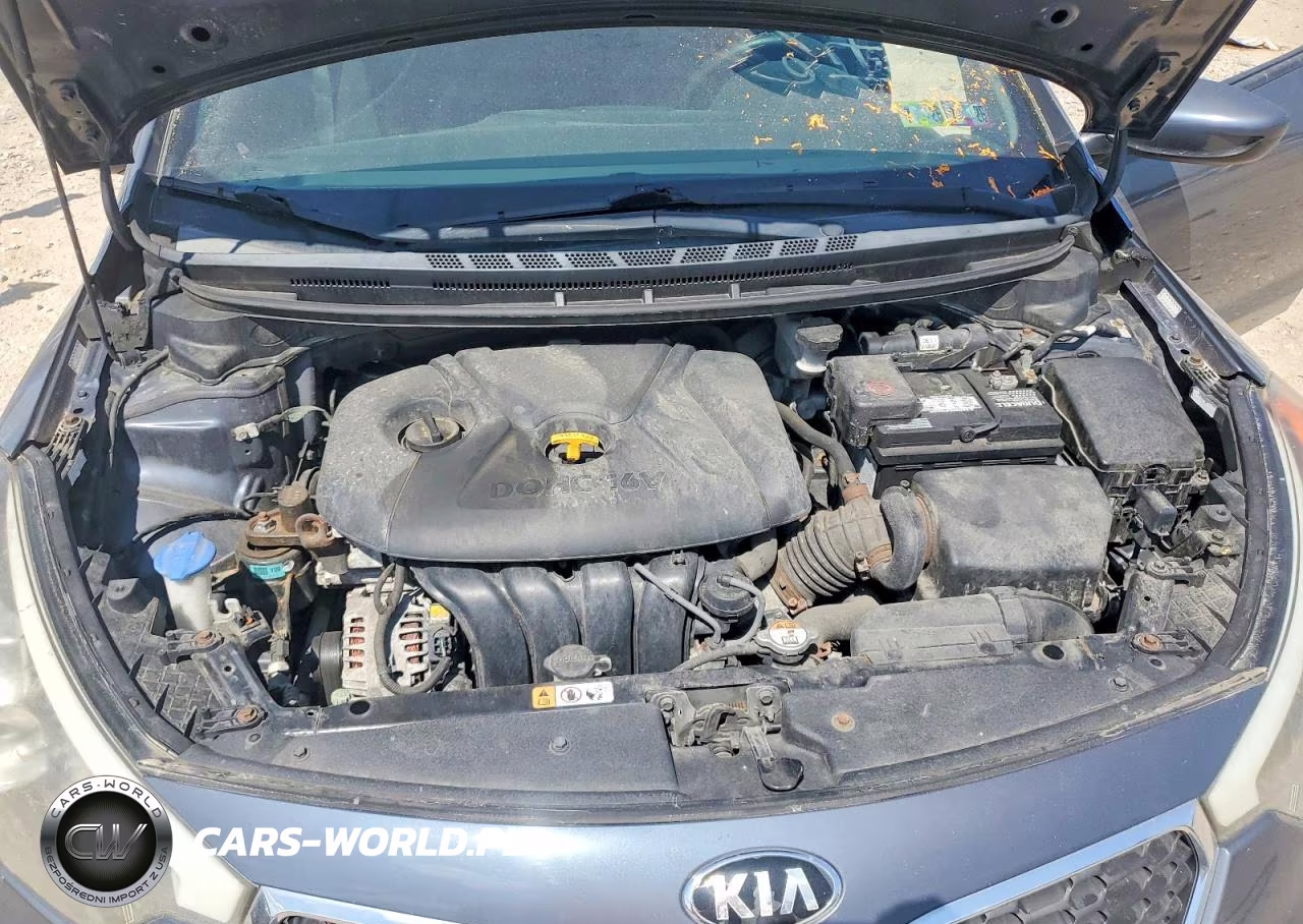 2016 Kia Forte Lx VIN:KNAFK4A6XG5576462 - 11