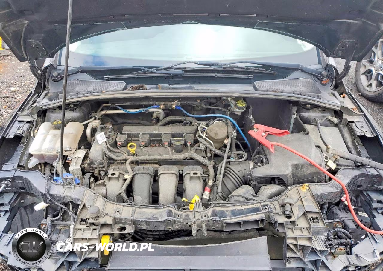 2014 Ford Focus Se VIN:1FADP3K28EL344037 - 11