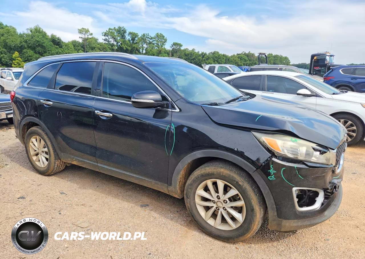 2017 Kia Sorento Lx VIN:5XYPG4A36HG271094 - 4