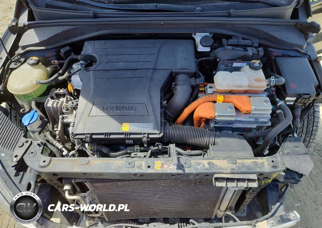 2019 Hyundai Ioniq Blue VIN:KMHC65LC7KU179868 - 11