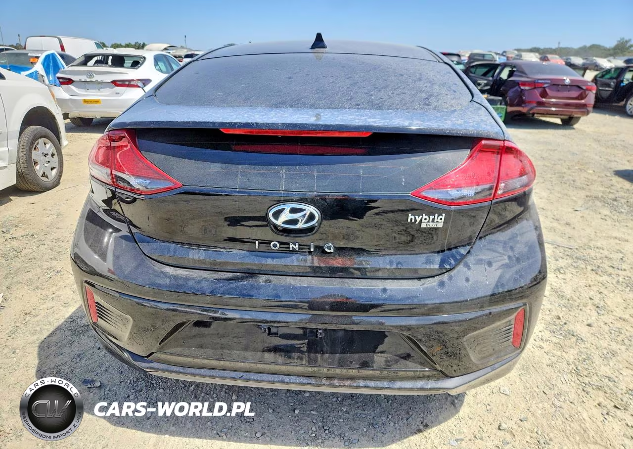 2019 Hyundai Ioniq Blue VIN:KMHC65LC7KU179868 - 6