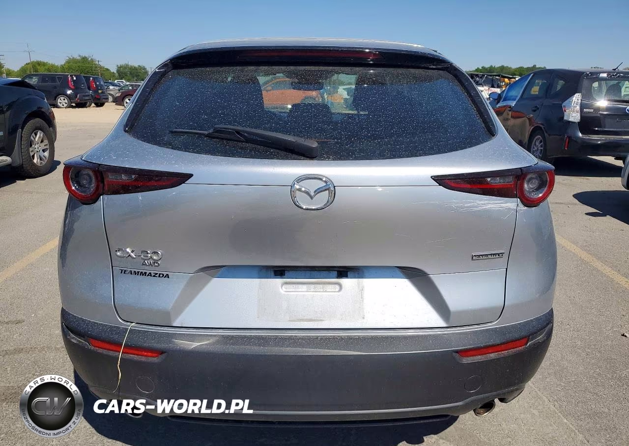 2020 Mazda Cx-30 VIN:3MVDMBBL8LM122548 - 6