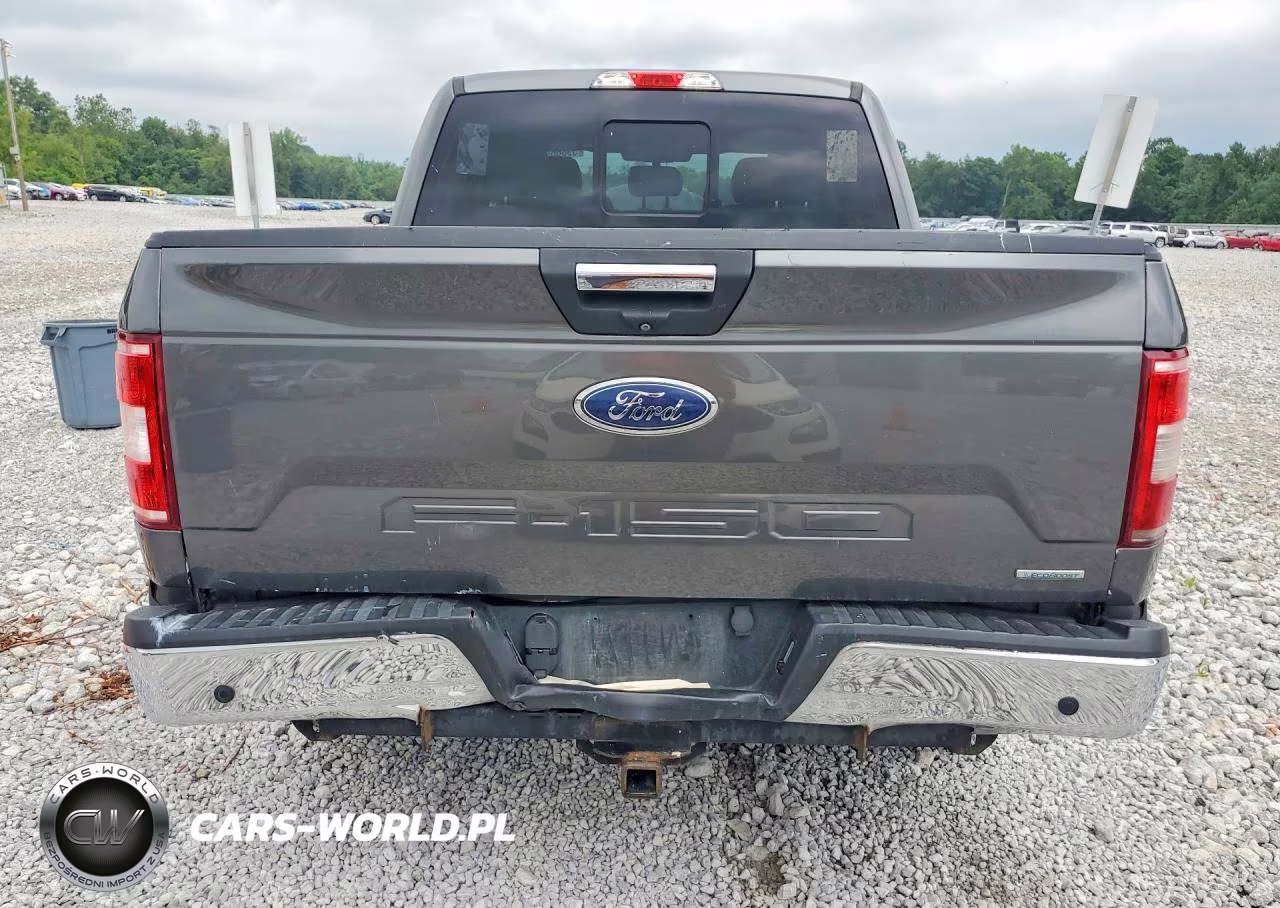 2019 Ford F150 Supercrew VIN:1FTEW1EP7KFA57120 - 6