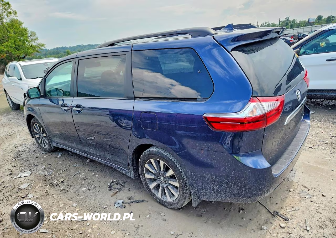 2020 Toyota Sienna Limited 7-Passenger VIN:5TDDZ3DC1LS241161 - 2