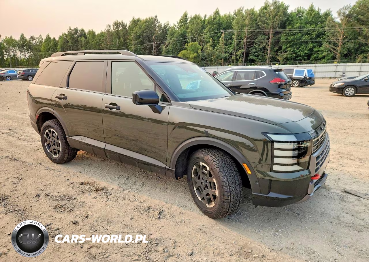 2026 Hyundai Palisade Xrt Pro VIN:KM8RJES24TU026514 - 4